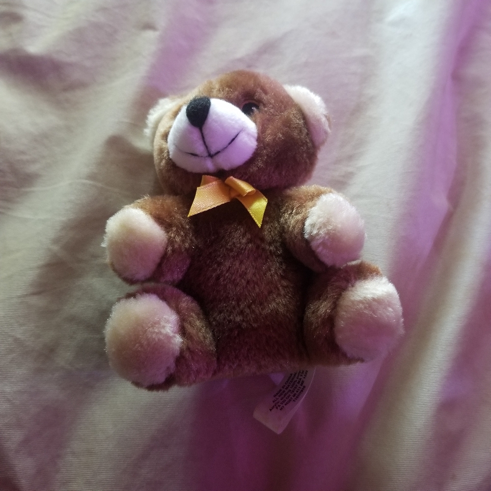 Small Teddy Bear